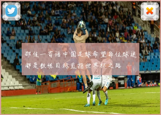 邵佳一寄语中国足球希望每位球迷都是教练目标直指世界杯之路