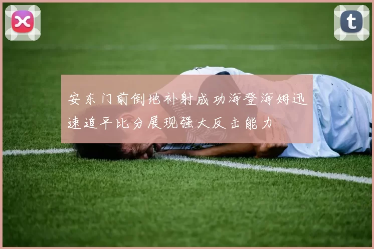 安东门前倒地补射成功海登海姆迅速追平比分展现强大反击能力